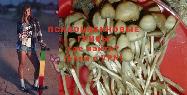 гидра Алзамай