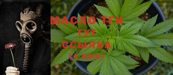 мяу мяу мука Аркадак