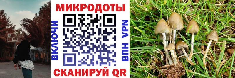 KRAKEN сайт  Обнинск  Галлюциногенные грибы прущие грибы 